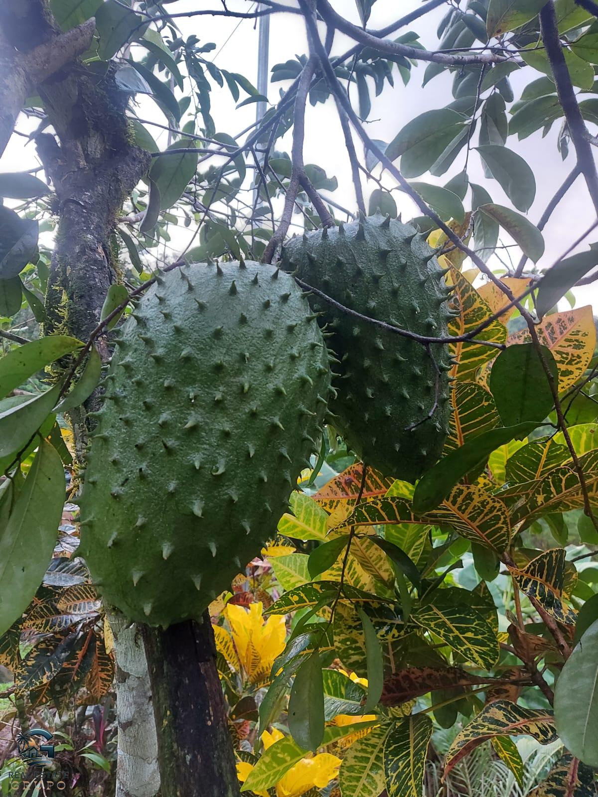 WhatsApp Image 2024-01-27 at 11.43.56 (2)