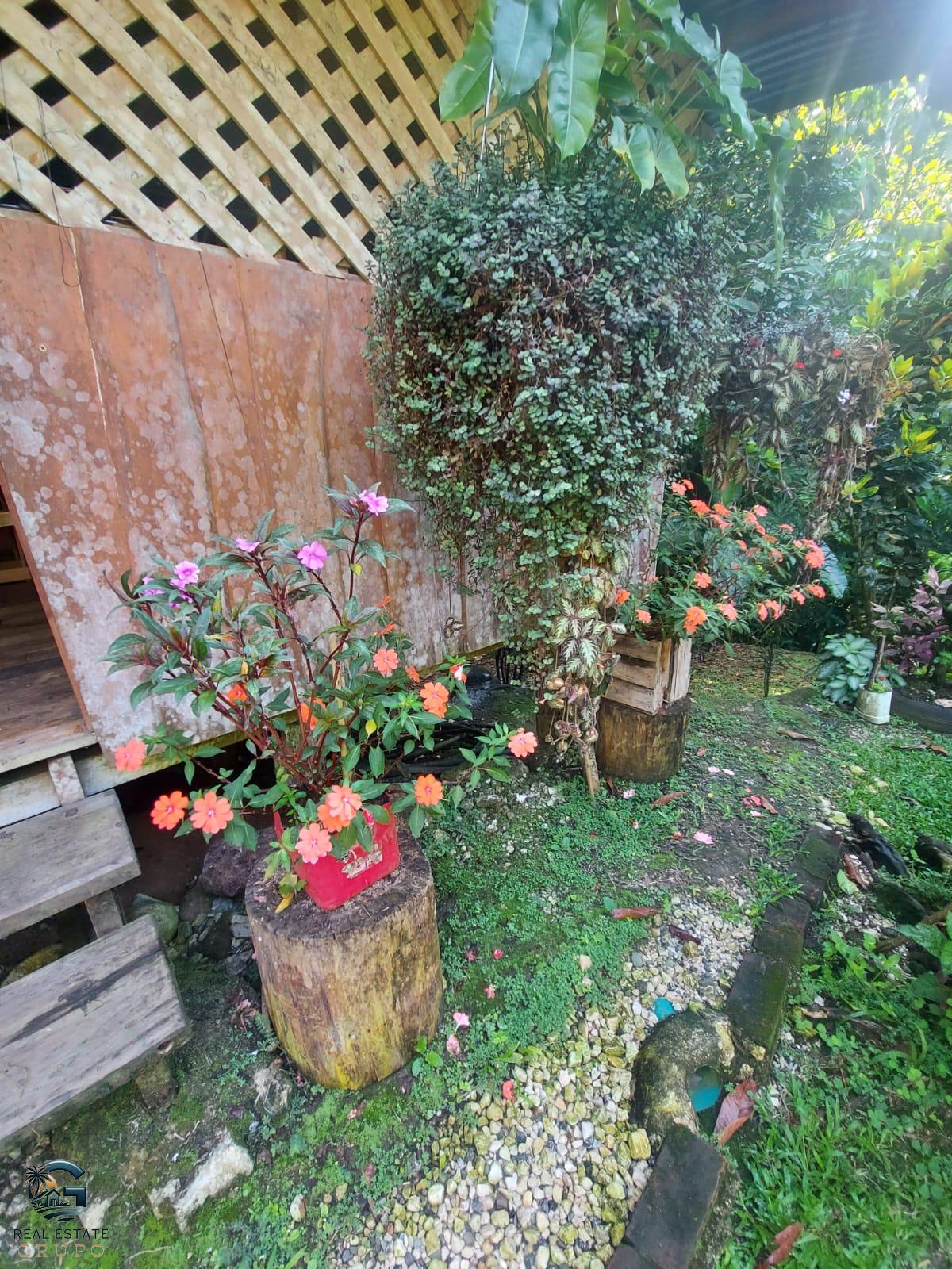 WhatsApp Image 2024-01-27 at 11.43.56