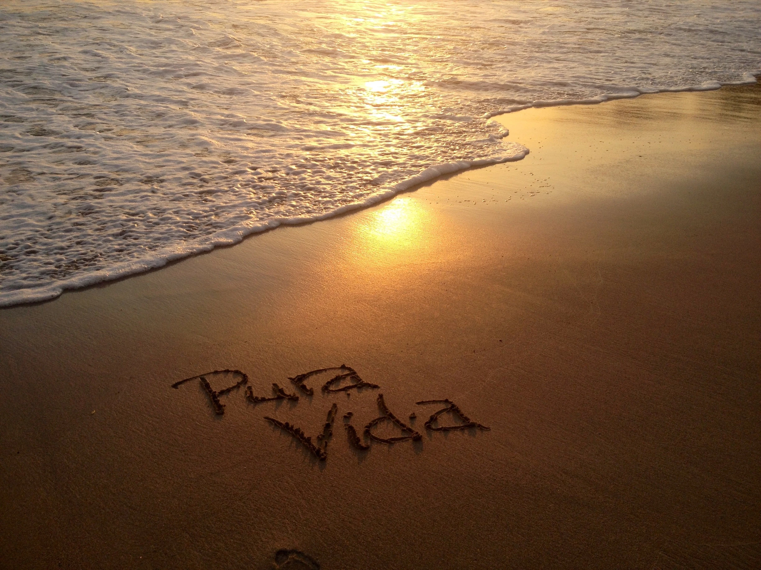 c235ae031bf4f68f2e164b08563e5a9f