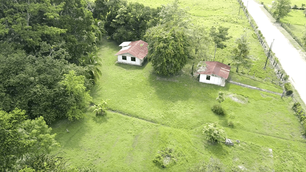 casas-arbol-grande-12