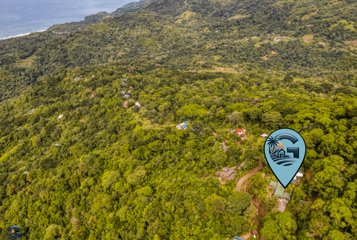 עיצוב ללא שם