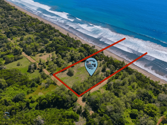 עיצוב ללא שם