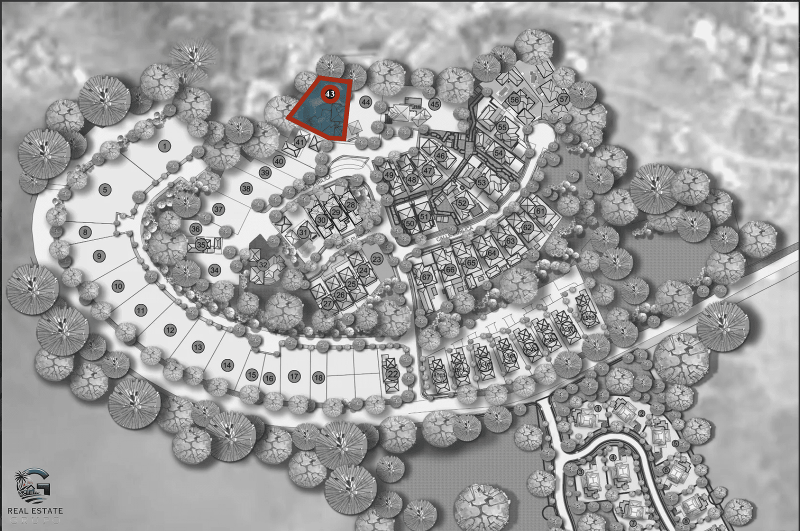 צילום מסך 2024-01-23 ב-13.53.43