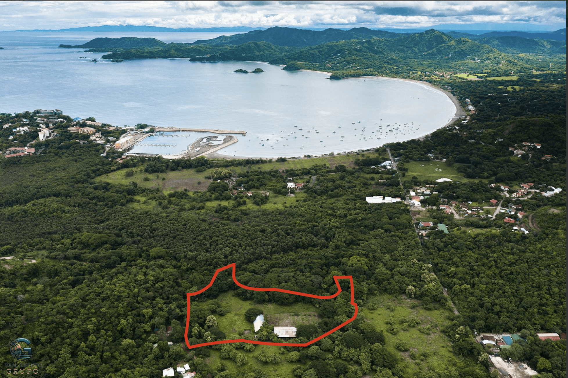 צילום מסך 2024-01-23 ב-14.31.36 צילום מסך 2024-01-23 ב-14.31.36