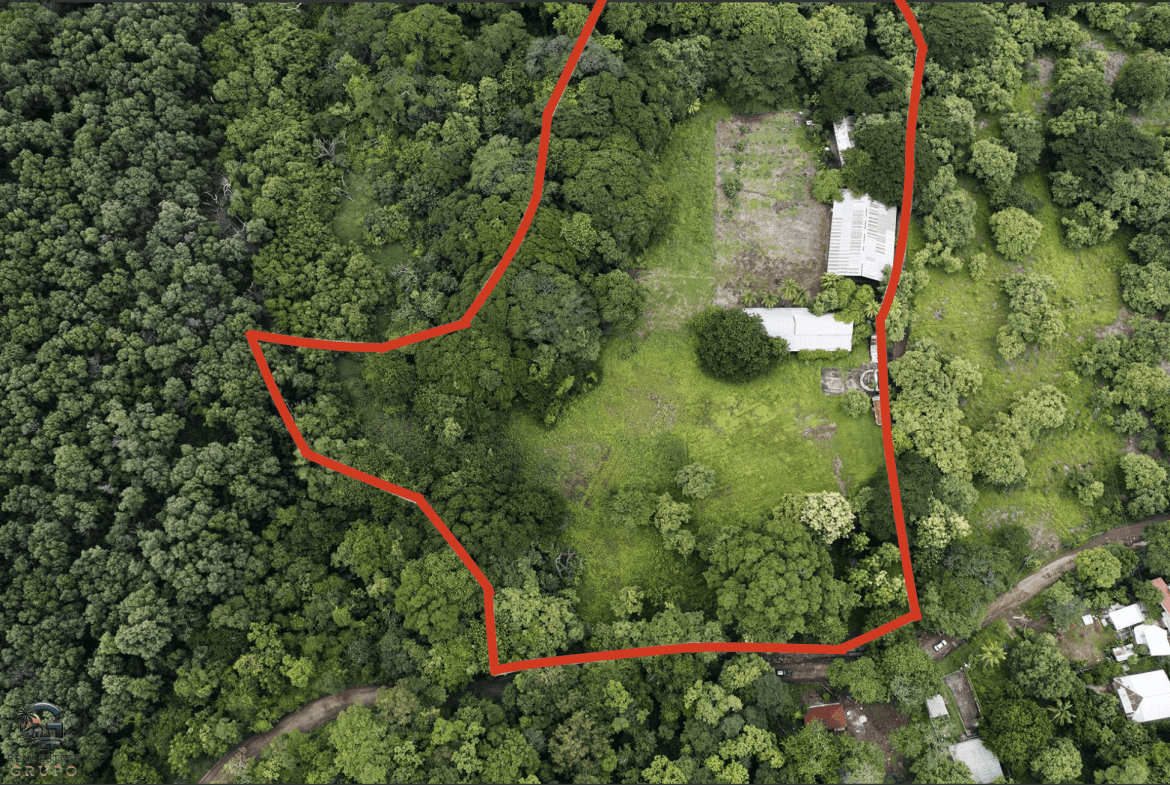 צילום מסך 2024-01-23 ב-14.31.51