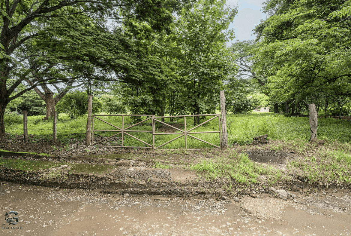 צילום מסך 2024-01-23 ב-14.31.57