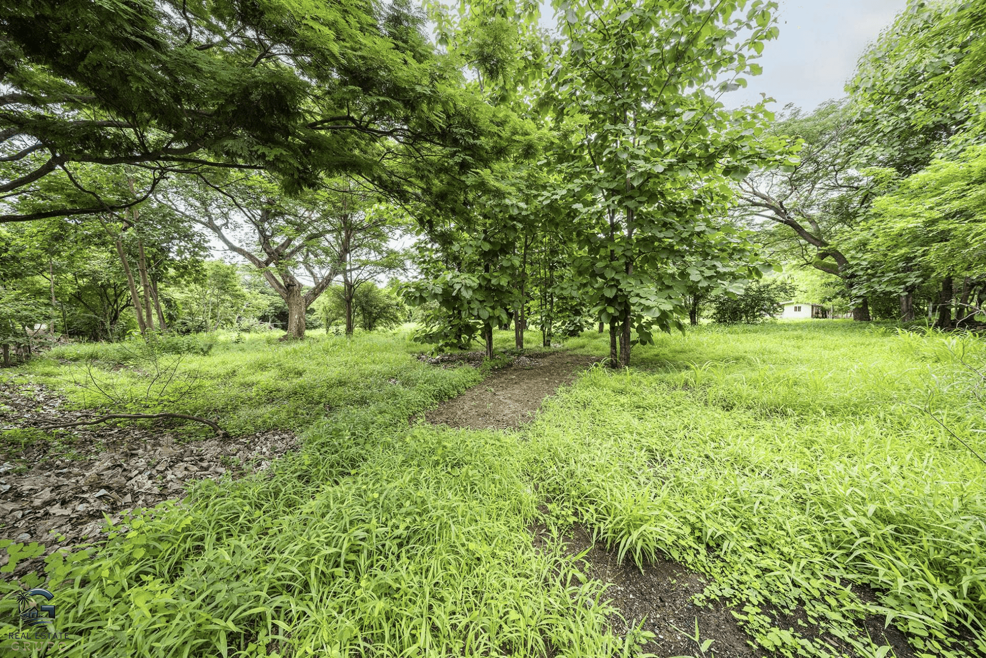 צילום מסך 2024-01-23 ב-14.32.02 צילום מסך 2024-01-23 ב-14.32.02