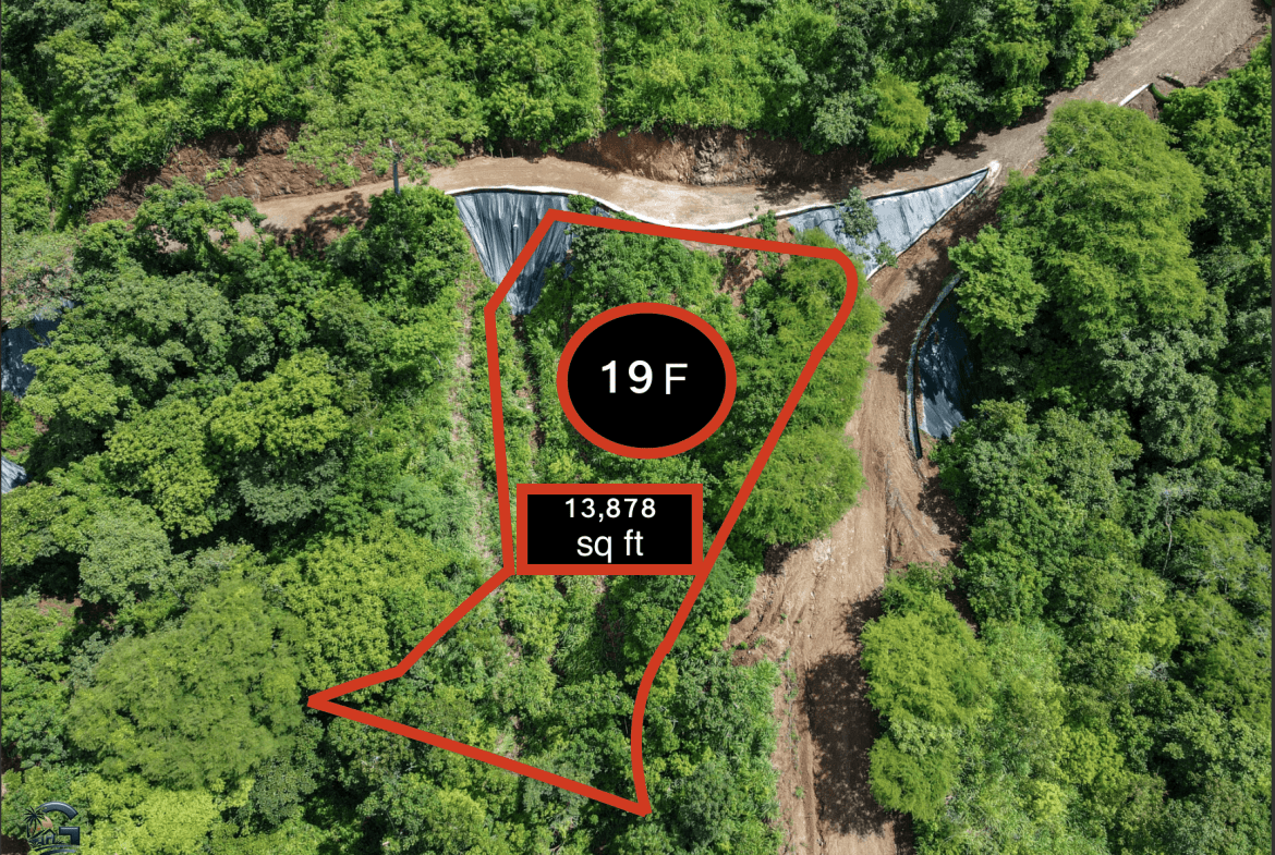 צילום מסך 2024-01-23 ב-15.24.39