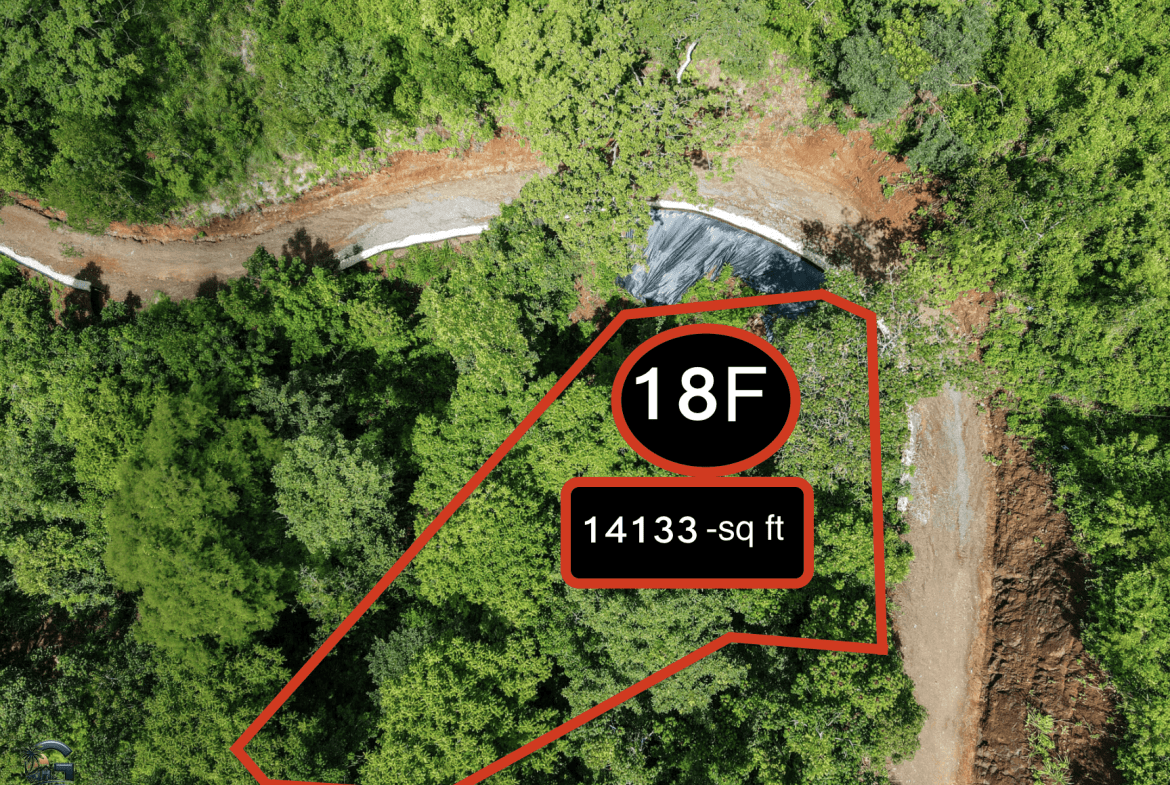 צילום מסך 2024-01-23 ב-16.09.36