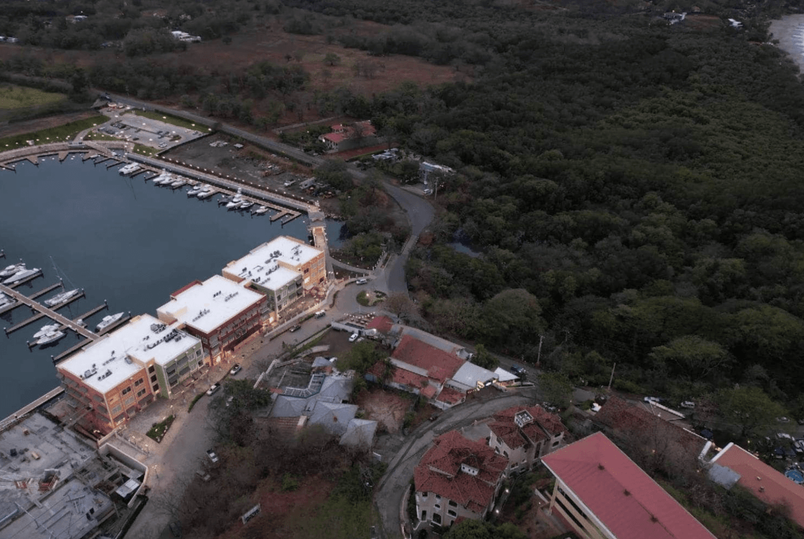 צילום מסך 2024-01-23 ב-19.41.36