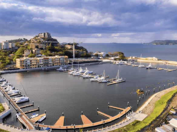 צילום מסך 2024-01-23 ב-19.41.42