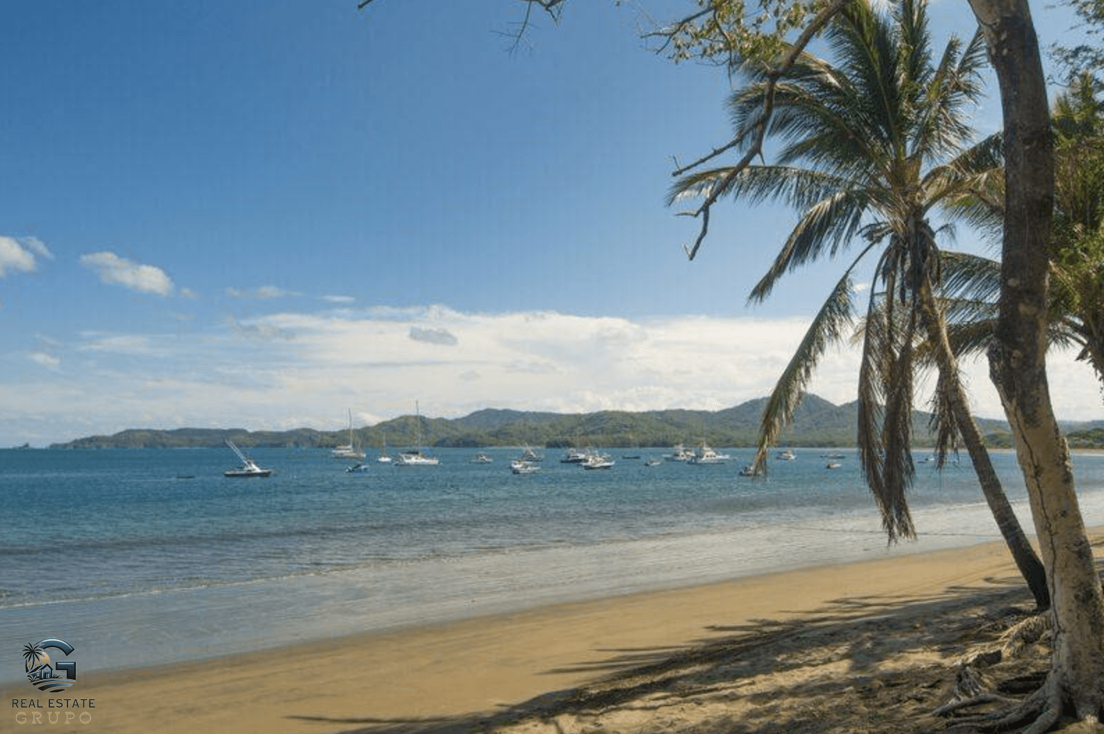 צילום מסך 2024-01-23 ב-19.42.28