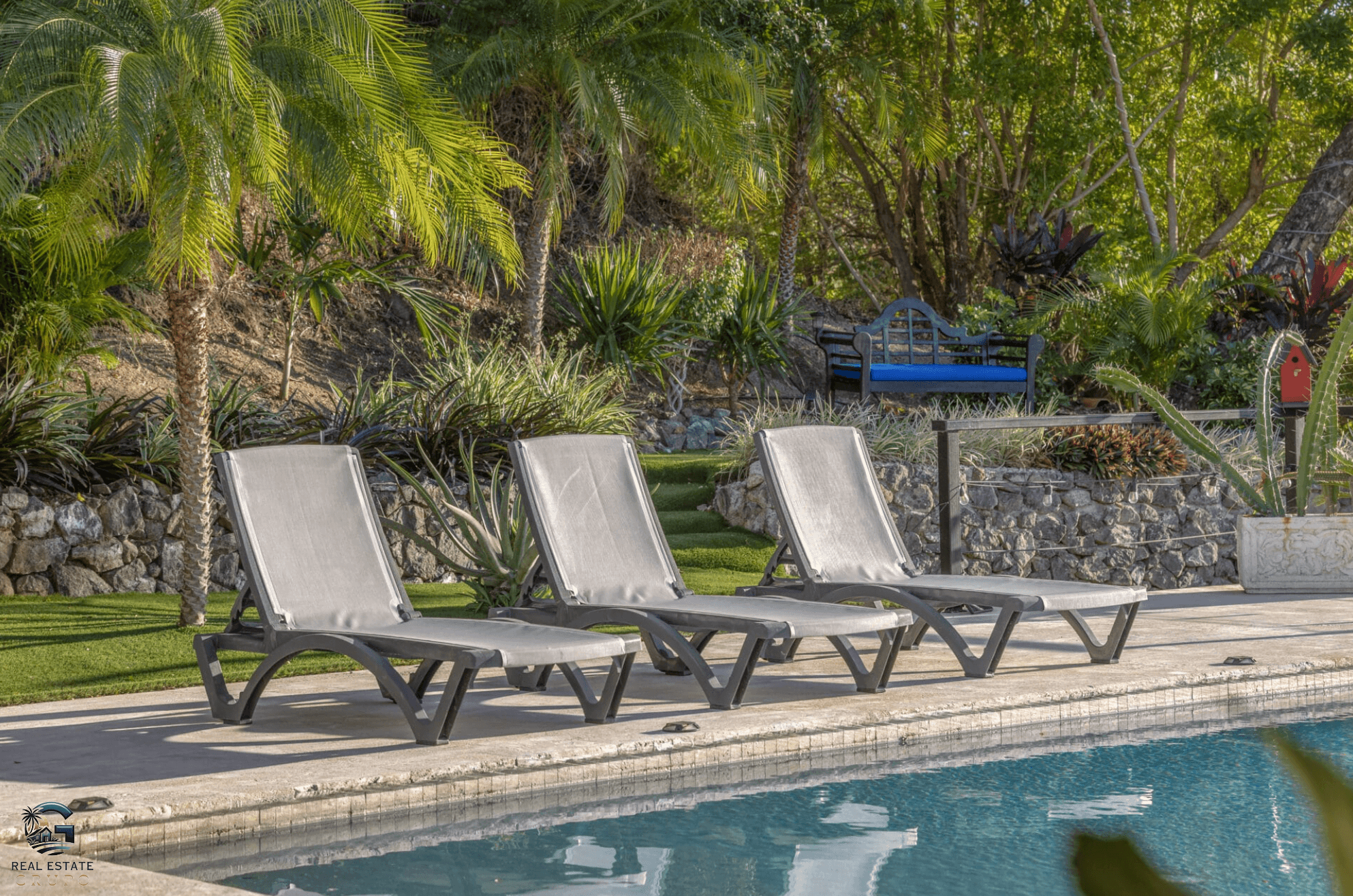 צילום מסך 2024-01-24 ב-19.22.20