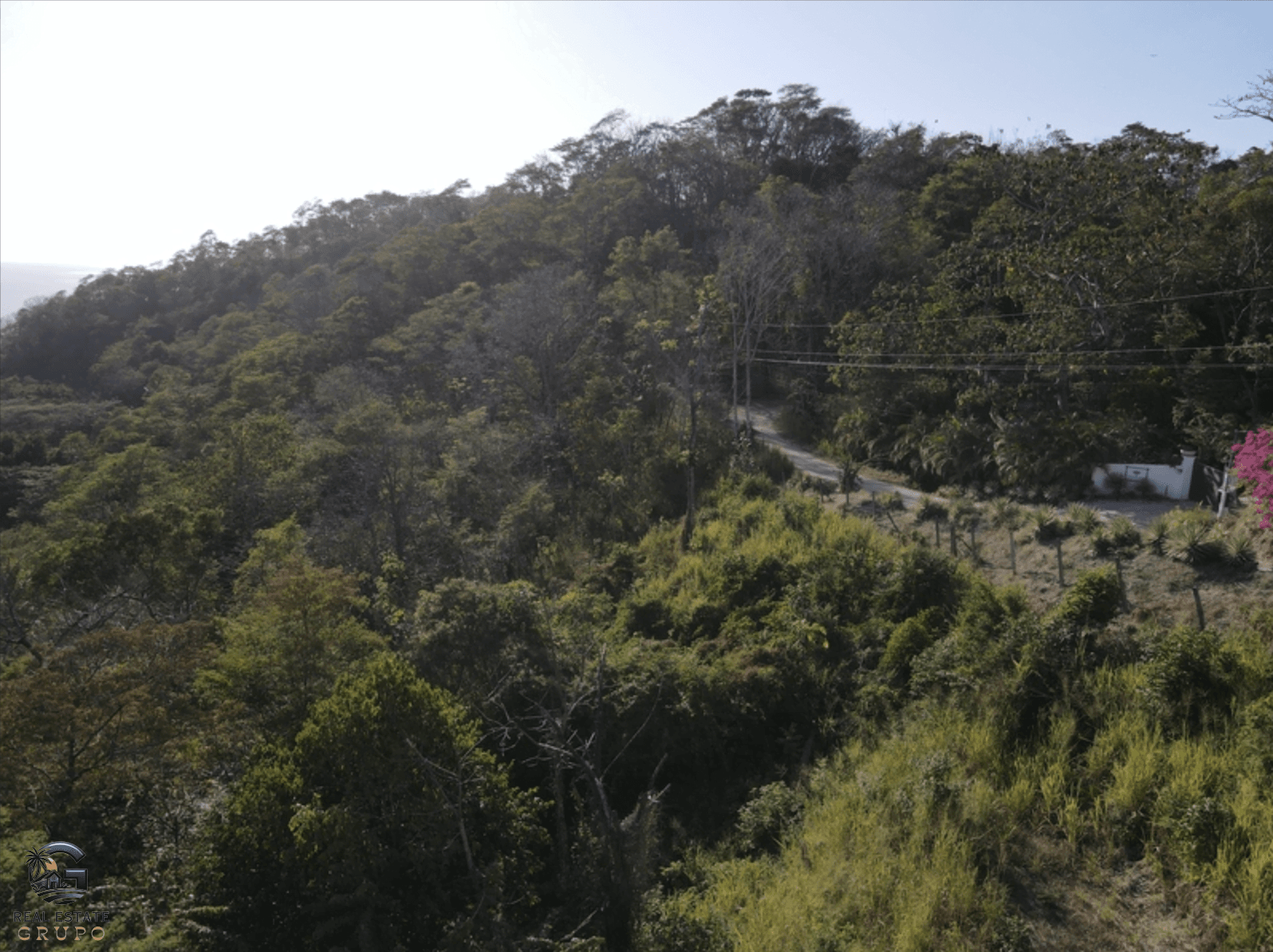 צילום מסך 2024-01-25 ב-11.29.48