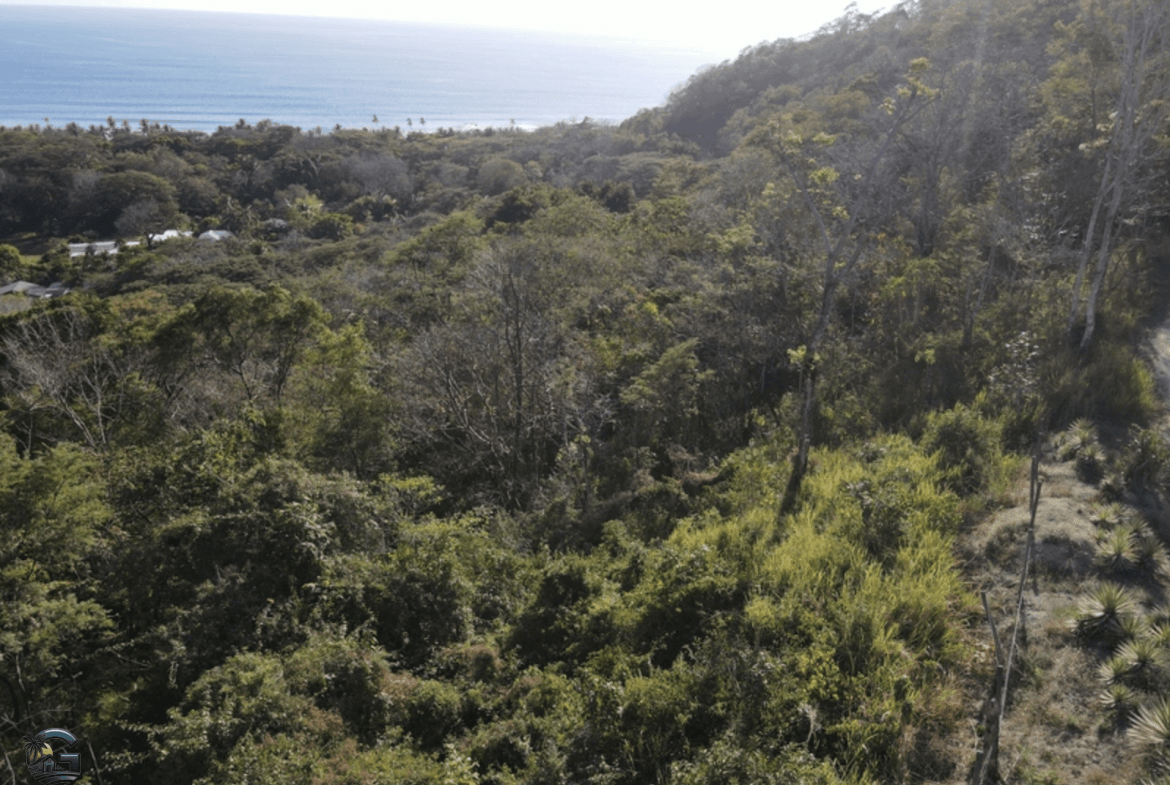 צילום מסך 2024-01-25 ב-11.29.54