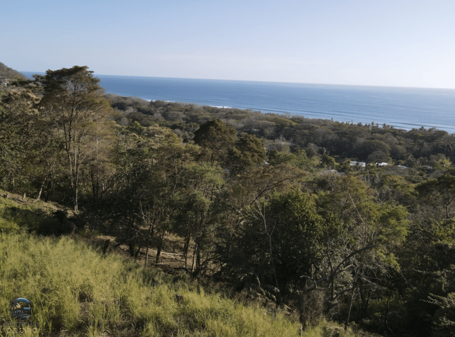 צילום מסך 2024-01-25 ב-11.29.58