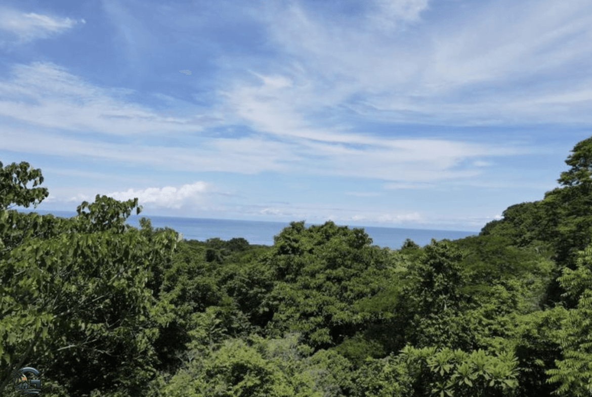 צילום מסך 2024-01-25 ב-11.30.28