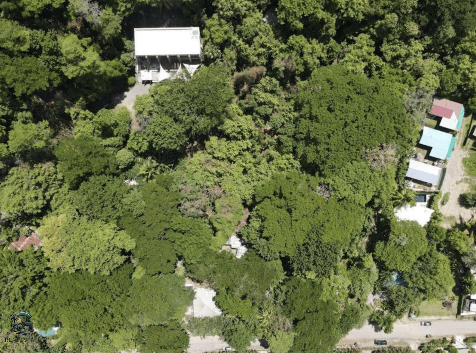 צילום מסך 2024-01-25 ב-11.30.34