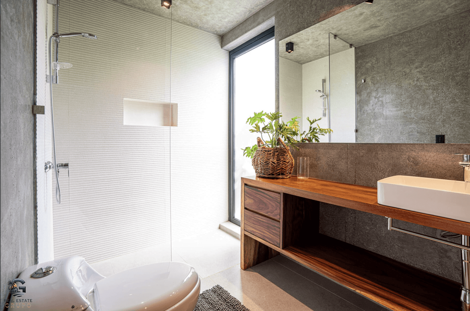 צילום מסך 2024-01-26 ב-10.13.00