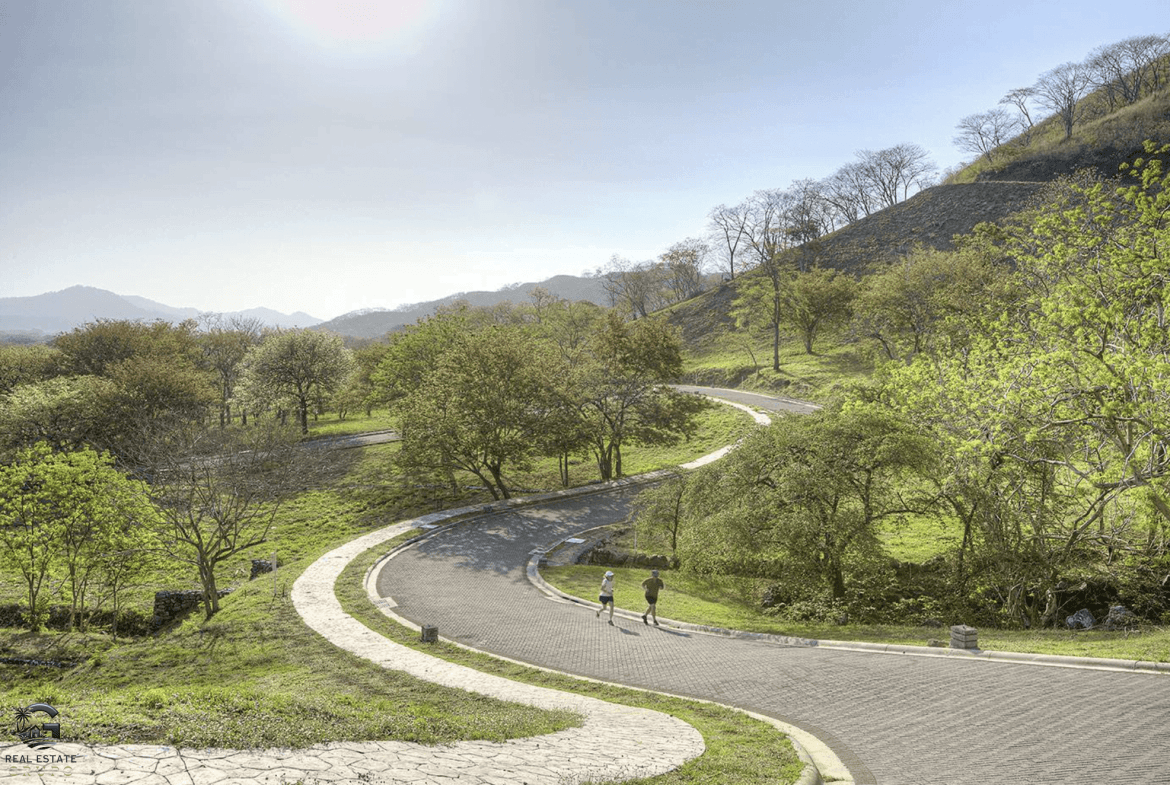 צילום מסך 2024-01-26 ב-10.59.38