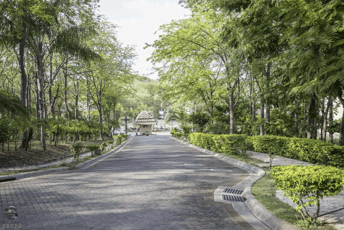 צילום מסך 2024-01-26 ב-10.59.50