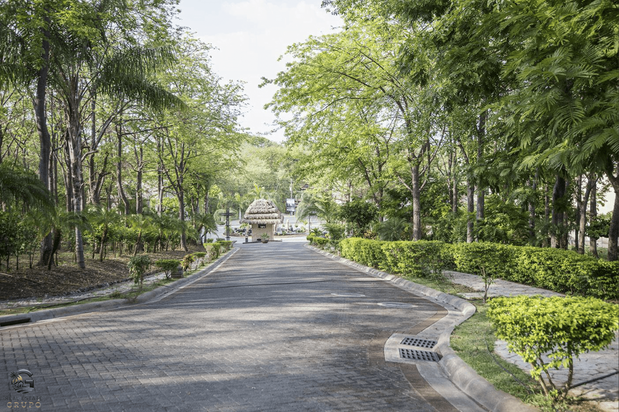 צילום מסך 2024-01-26 ב-10.59.50