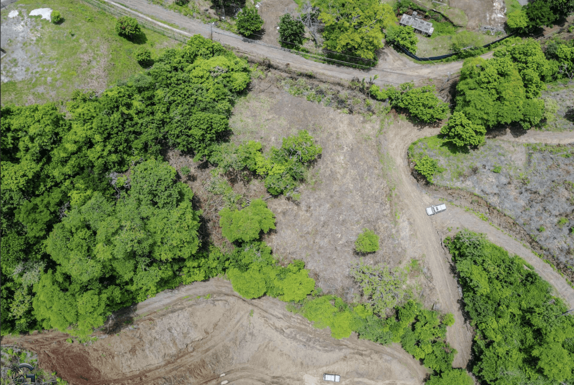 צילום מסך 2024-01-26 ב-10.59.57