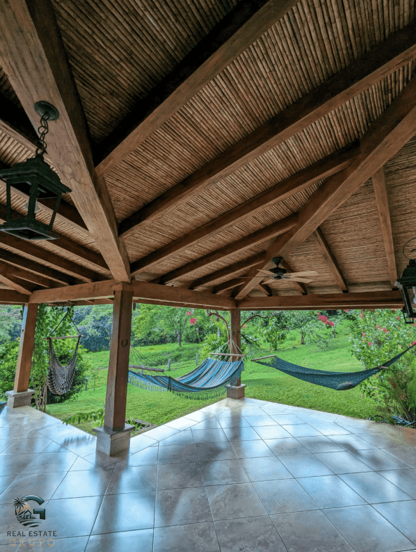 צילום מסך 2024-01-26 ב-12.06.51