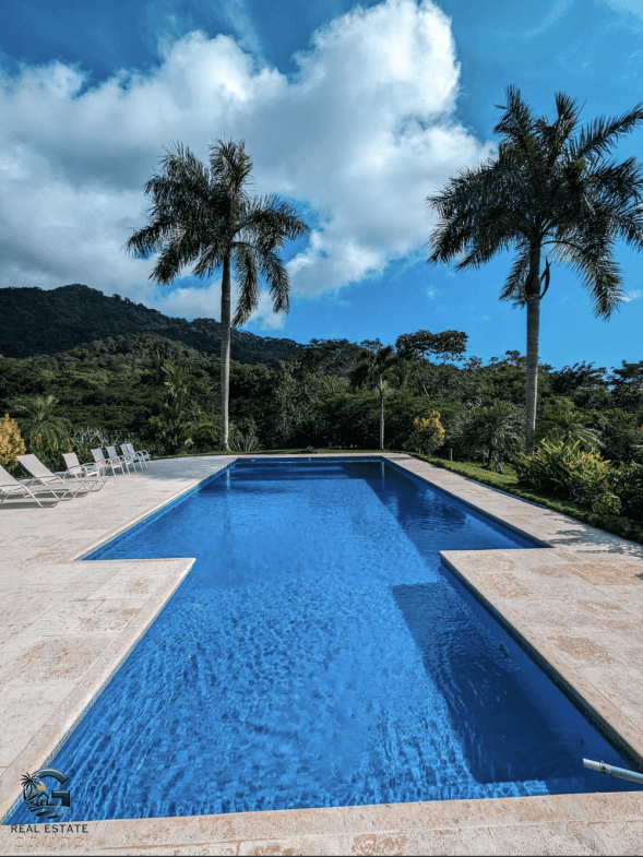 צילום מסך 2024-01-26 ב-12.07.06