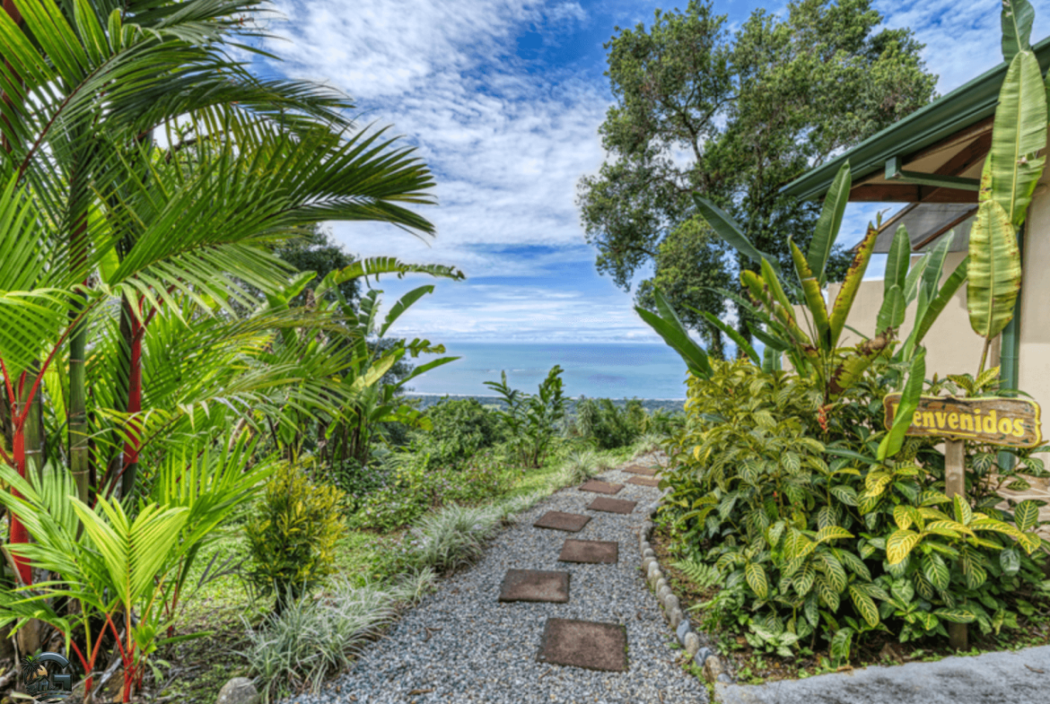 צילום מסך 2024-01-28 ב-12.08.15