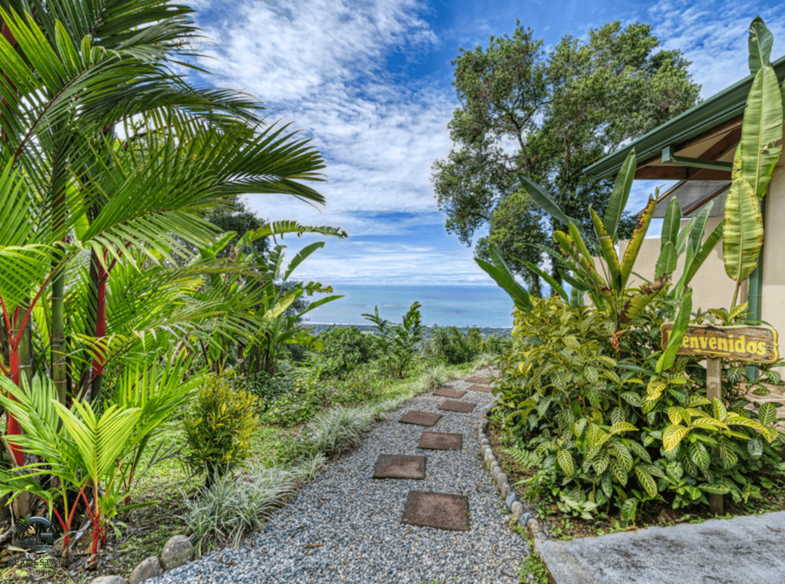 צילום מסך 2024-01-28 ב-12.08.15