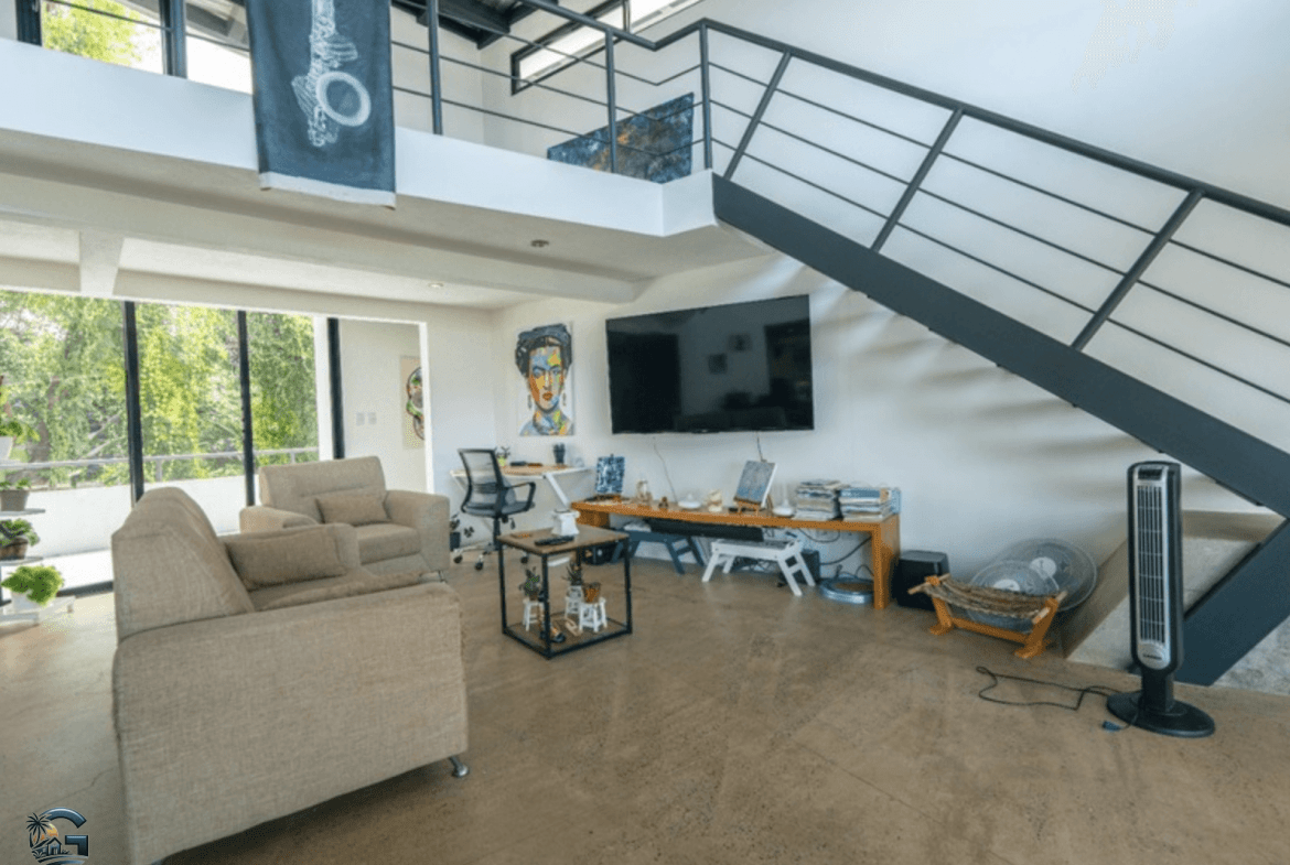 צילום מסך 2024-01-28 ב-12.53.46