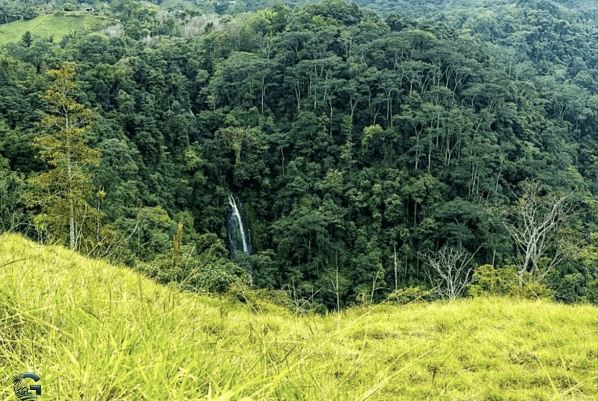 צילום מסך 2024-01-28 ב-15.15.44