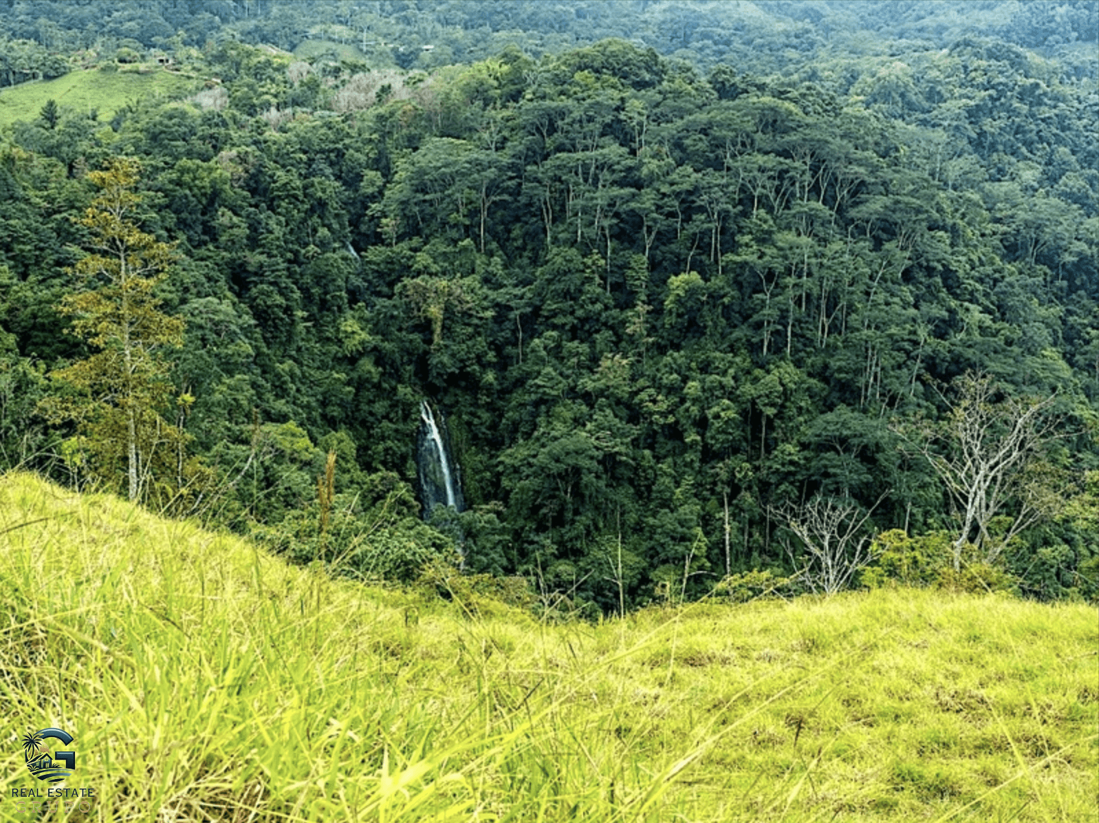 צילום מסך 2024-01-28 ב-15.15.44