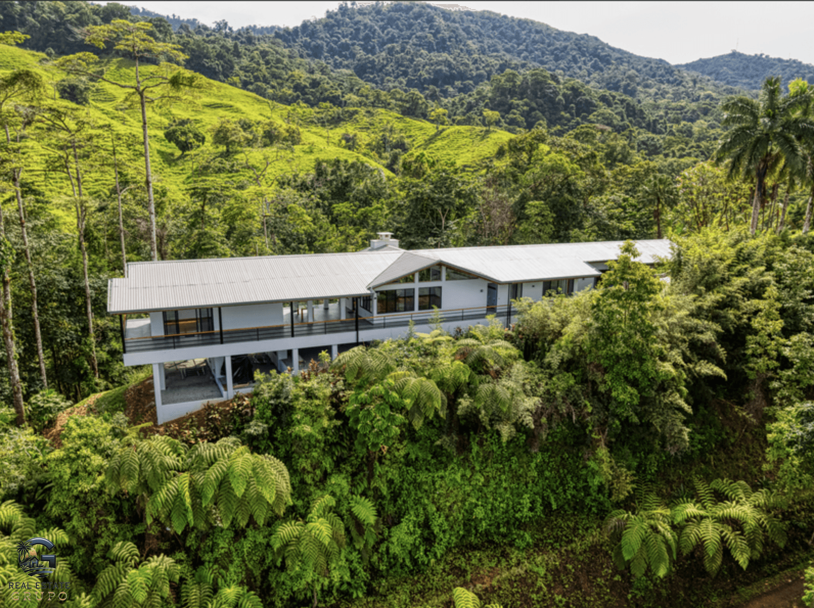 צילום מסך 2024-01-28 ב-15.15.49