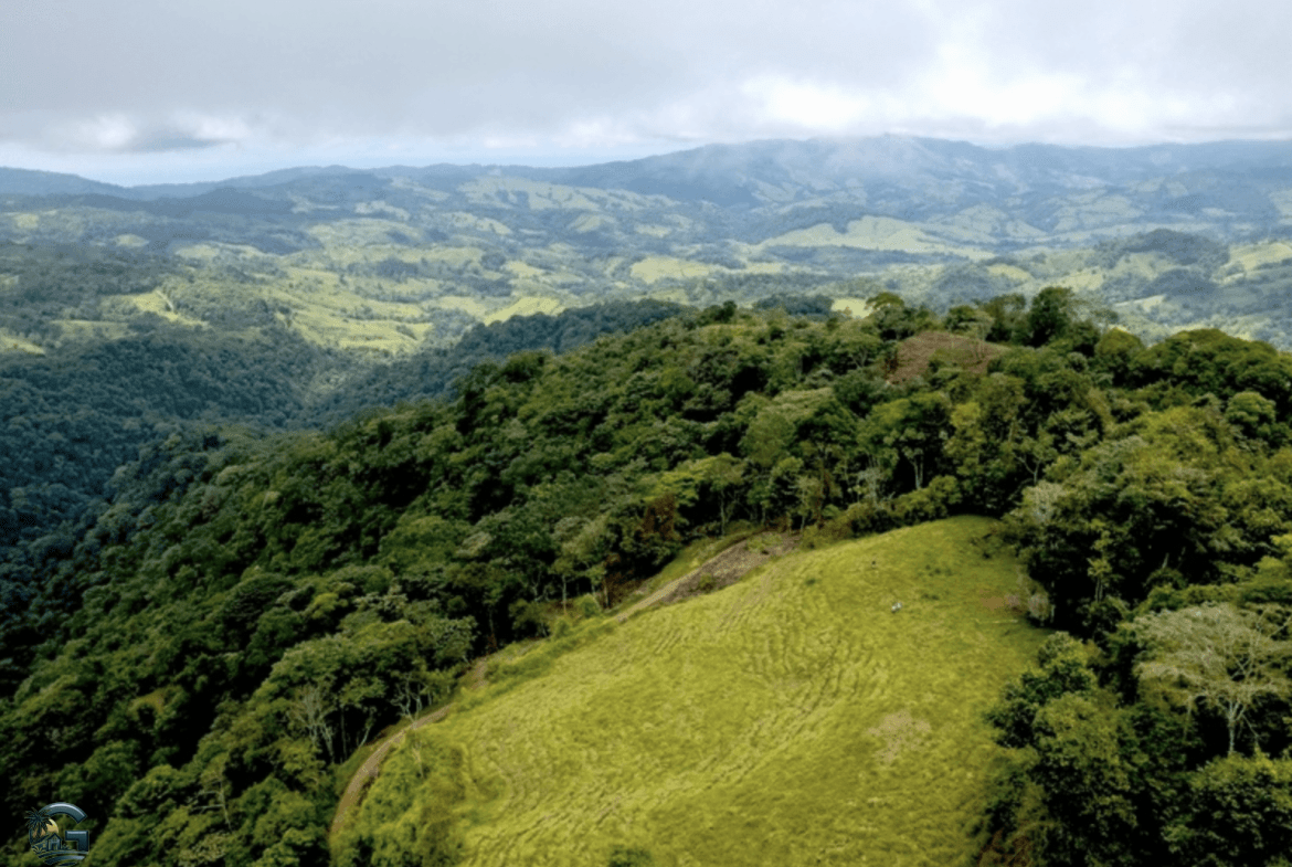 צילום מסך 2024-01-28 ב-15.15.53