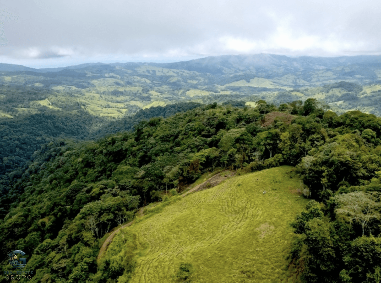 צילום מסך 2024-01-28 ב-15.15.53