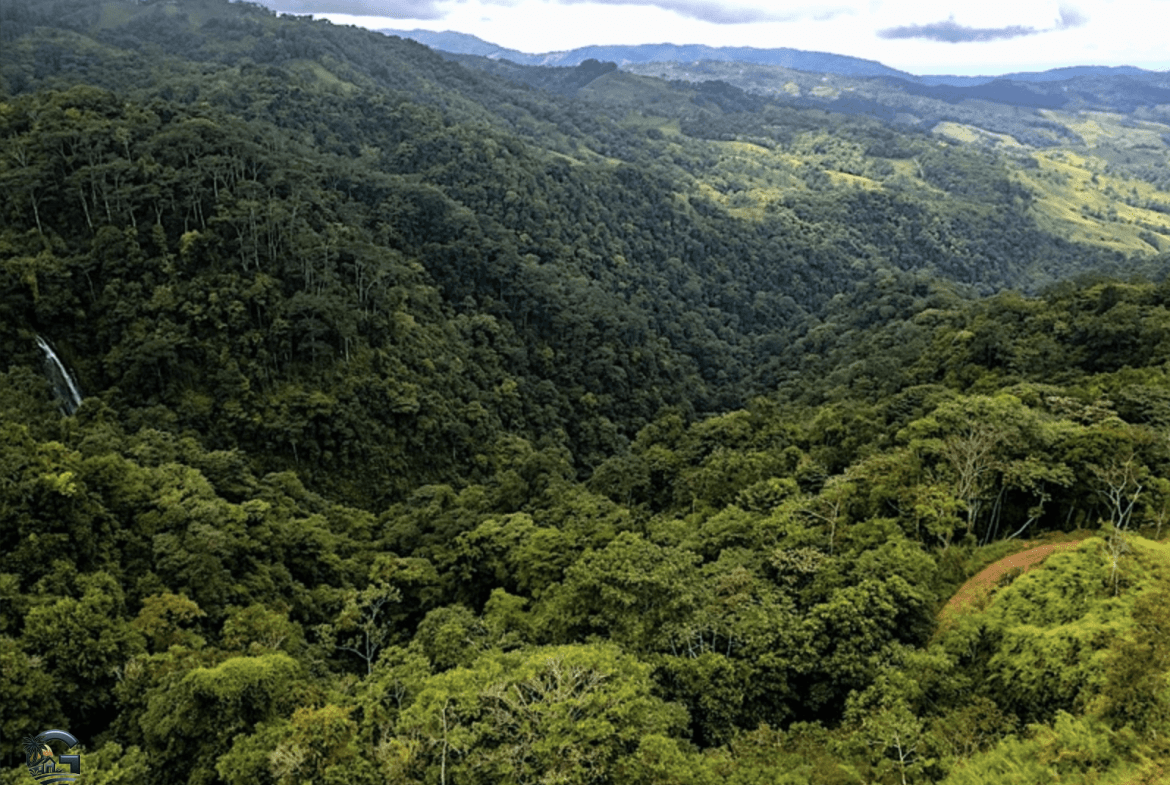 צילום מסך 2024-01-28 ב-15.16.14