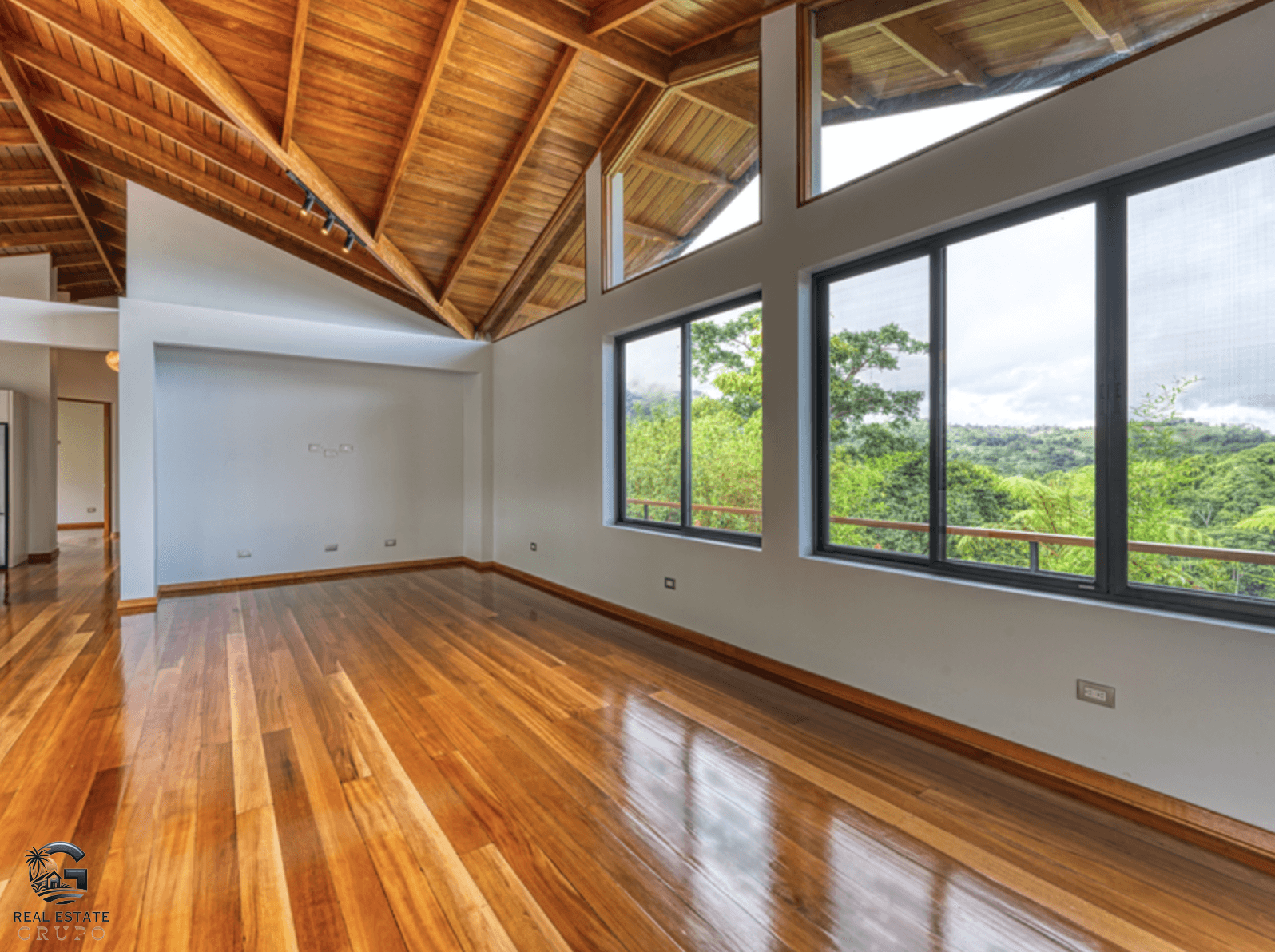 צילום מסך 2024-01-28 ב-15.16.34