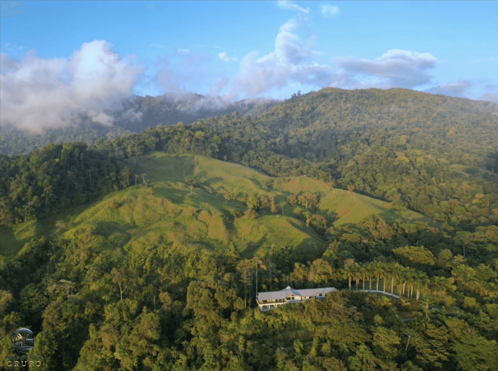 צילום מסך 2024-01-28 ב-15.17.09