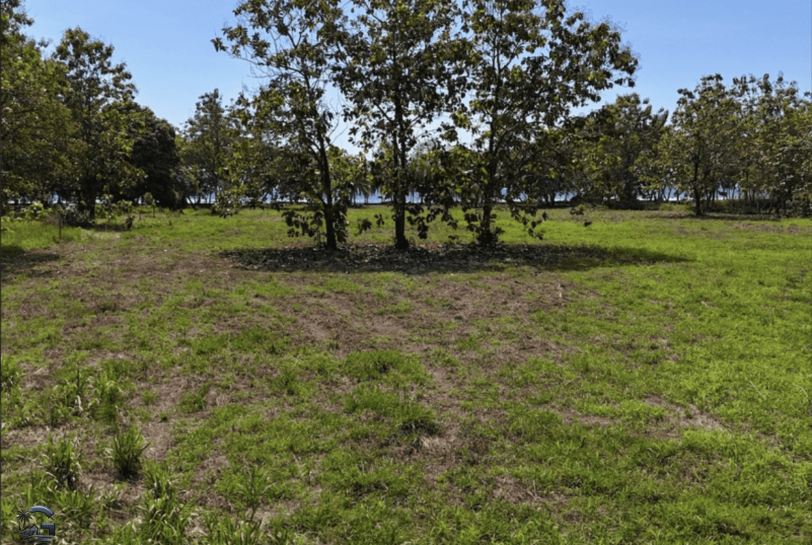 צילום מסך 2024-01-28 ב-15.56.49