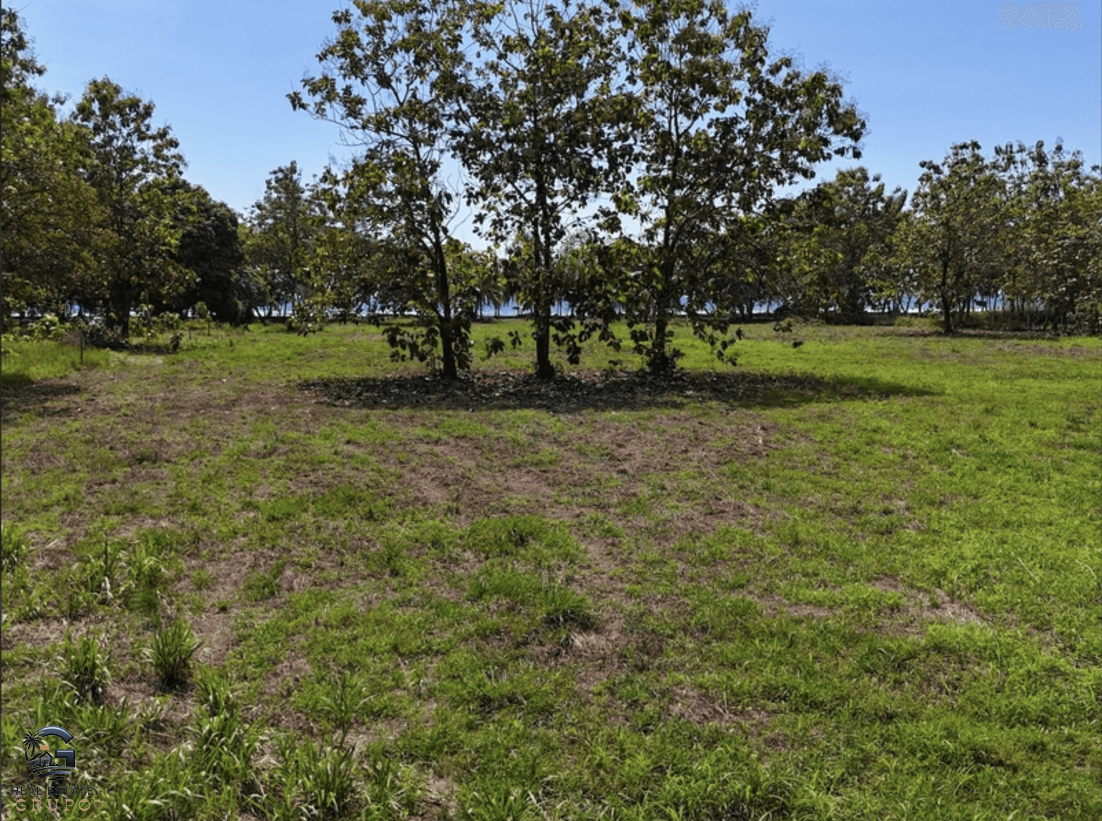 צילום מסך 2024-01-28 ב-15.56.49