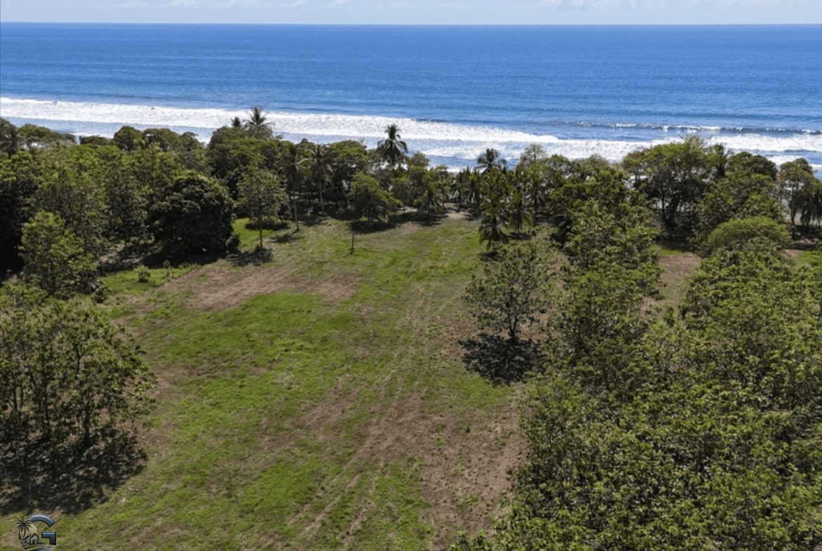 צילום מסך 2024-01-28 ב-15.57.05