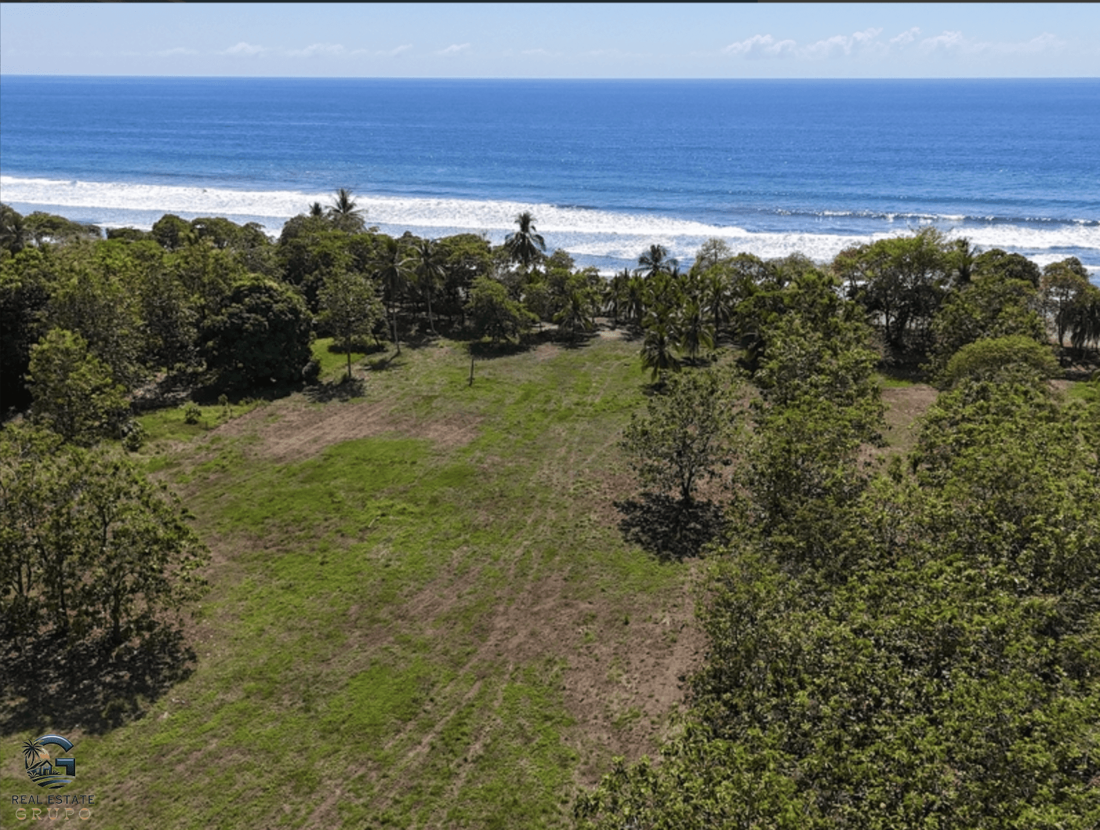 צילום מסך 2024-01-28 ב-15.57.05