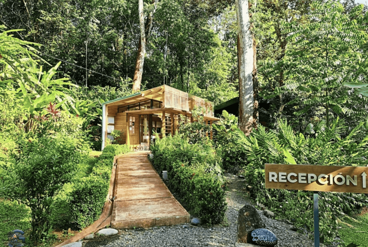 צילום מסך 2024-01-28 ב-17.03.33