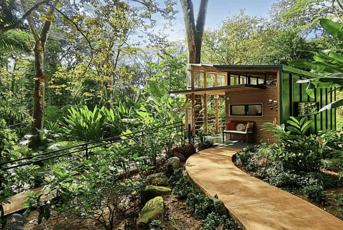 צילום מסך 2024-01-28 ב-17.03.58