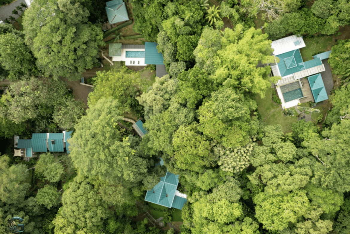 צילום מסך 2024-01-28 ב-17.04.51