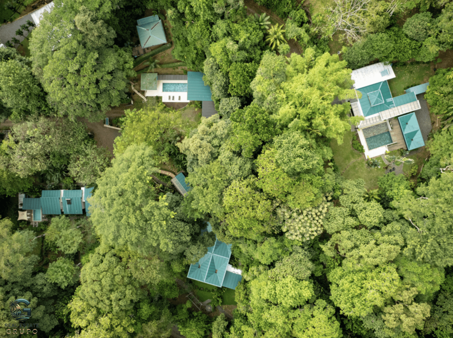 צילום מסך 2024-01-28 ב-17.04.51