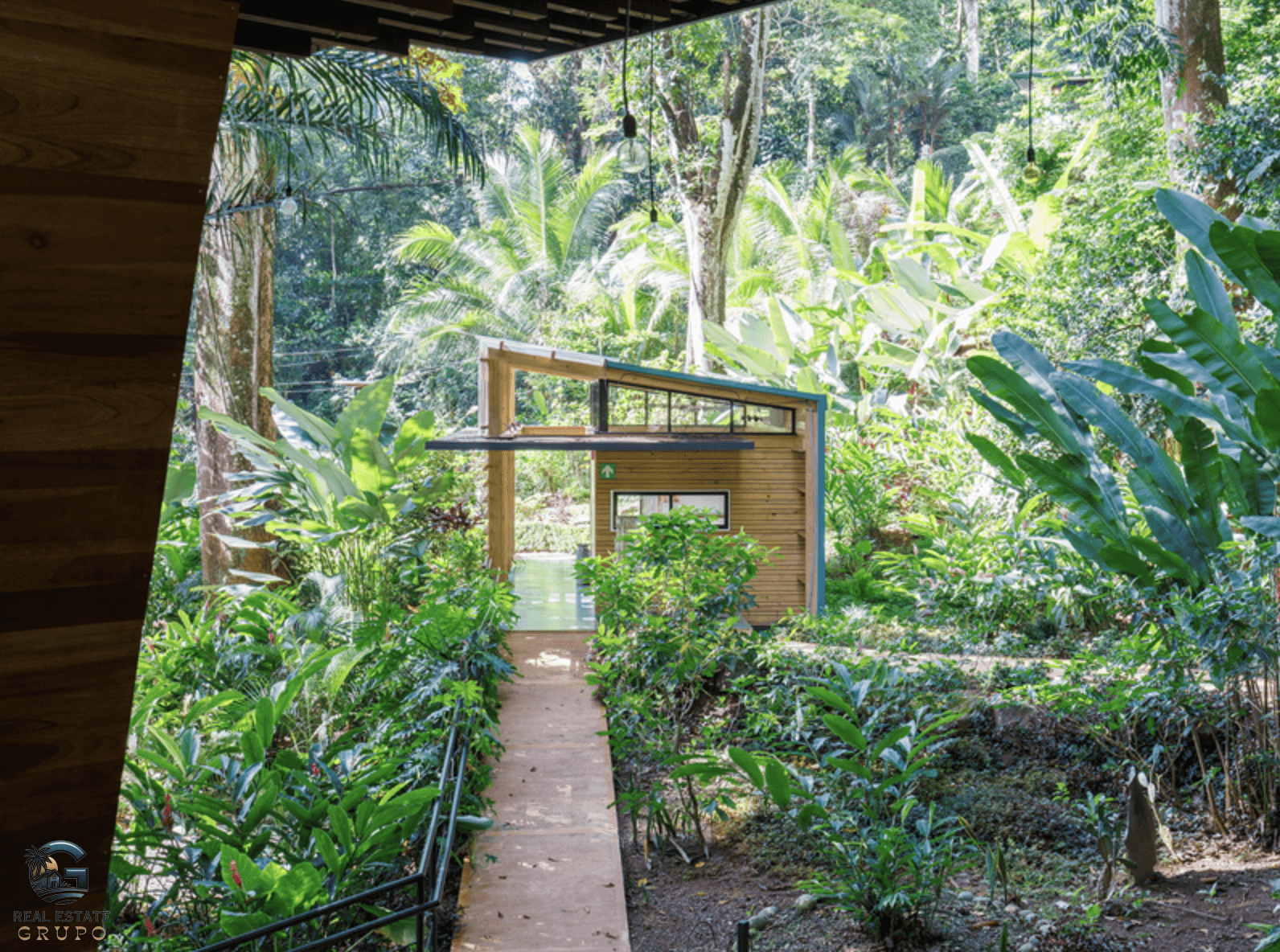 צילום מסך 2024-01-28 ב-17.05.14