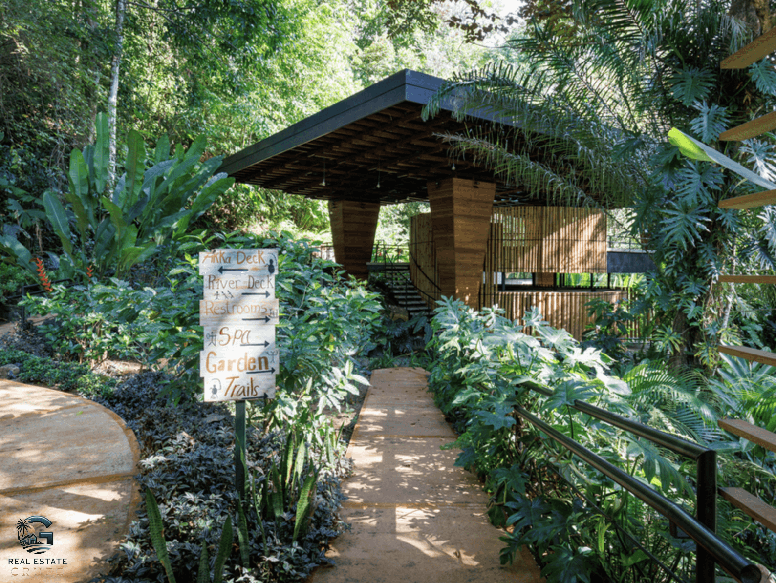 צילום מסך 2024-01-28 ב-17.05.19